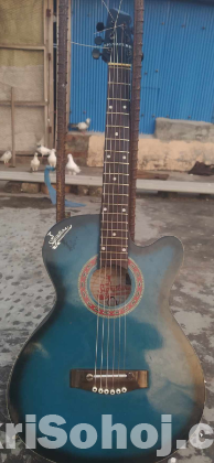 Signature guitar